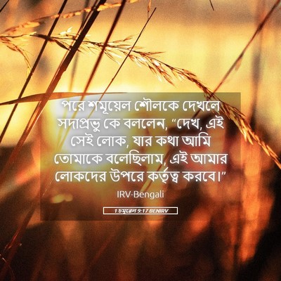 Picture 05 - 1 চমূৱেল 9:17 BENIRV - পরে শমূয়েল শৌলকে - Bible Verse Picture