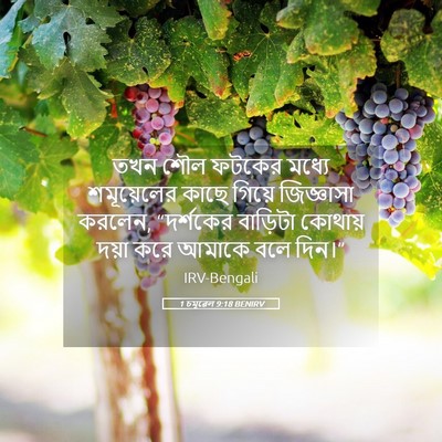 Picture 05 - 1 চমূৱেল 9:18 BENIRV - তখন শৌল ফটকের - Bible Verse Picture