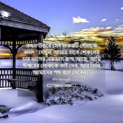Picture 05 - 1 চমূৱেল 9:8 BENIRV - তখন উত্তরে সেই - Bible Verse Picture