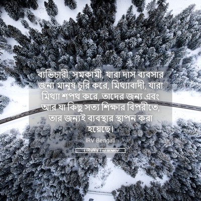 Picture 05 - 1 তীমথিয় 1:10 BENIRV - ব্যভিচারী, সমকামী, - Bible Verse Picture