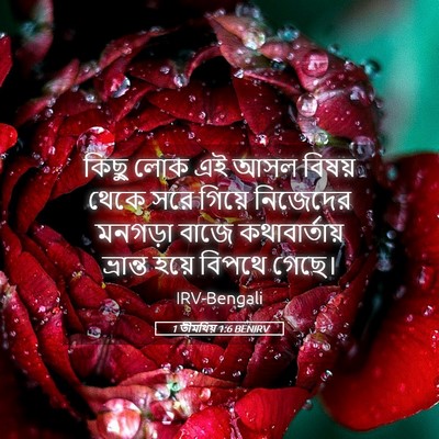 Picture 05 - 1 তীমথিয় 1:6 BENIRV - কিছু লোক এই আসল - Bible Verse Picture