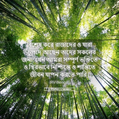 Picture 05 - 1 তীমথিয় 2:2 BENIRV - বিশেষ করে রাজাদের - Bible Verse Picture