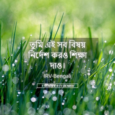 Picture 05 - 1 তীমথিয় 4:11 BENIRV - তুমি এই সব বিষয় - Bible Verse Picture