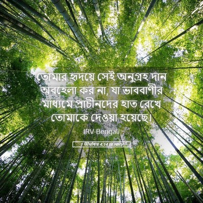 Picture 05 - 1 তীমথিয় 4:14 BENIRV - তোমার হৃদয়ে সেই - Bible Verse Picture