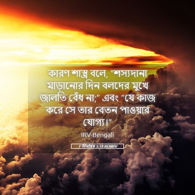 Picture 05 - 1 তীমথিয় 5:18 BENIRV - কারণ শাস্ত্র বলে, - Bible Verse Picture
