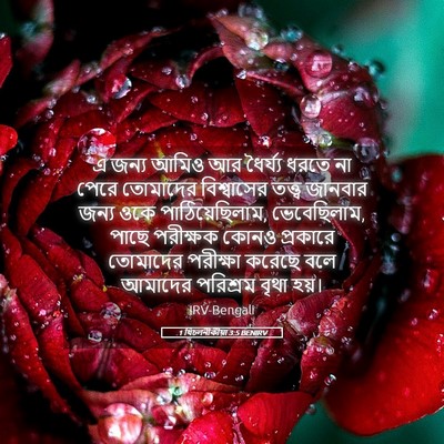 Picture 05 - 1 থিচলনীকীয়া 3:5 BENIRV - এ জন্য আমিও আর - Bible Verse Picture