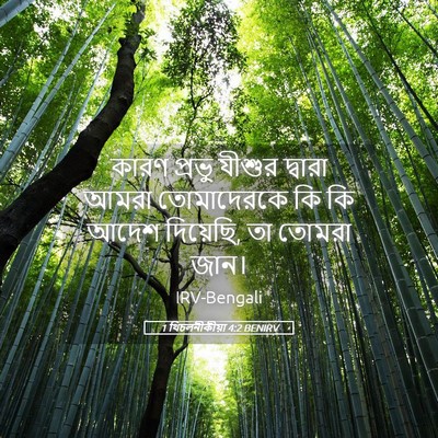 Picture 05 - 1 থিচলনীকীয়া 4:2 BENIRV - কারণ প্রভু যীশুর - Bible Verse Picture