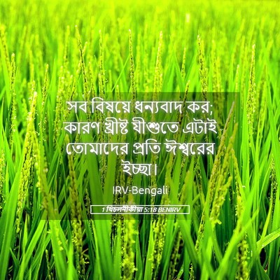 Picture 05 - 1 থিচলনীকীয়া 5:18 BENIRV - সব বিষয়ে ধন্যবাদ - Bible Verse Picture