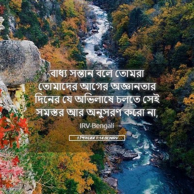Picture 05 - 1 পিতরের 1:14 BENIRV - বাধ্য সন্তান বলে - Bible Verse Picture