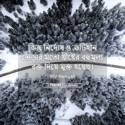 Picture 05 - 1 পিতরের 1:19 BENIRV - কিন্তু নির্দোষ ও - Bible Verse Picture