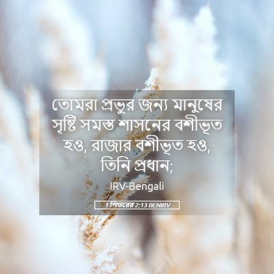 Picture 05 - 1 পিতরের 2:13 BENIRV - তোমরা প্রভুর জন্য - Bible Verse Picture