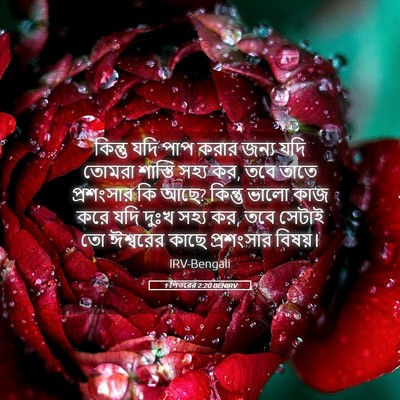 Picture 05 - 1 পিতরের 2:20 BENIRV - কিন্তু যদি পাপ - Bible Verse Picture