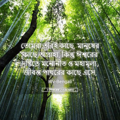 Picture 05 - 1 পিতরের 2:4 BENIRV - তোমরা তাঁরই কাছে, - Bible Verse Picture