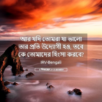 Picture 05 - 1 পিতরের 3:13 BENIRV - আর যদি তোমরা যা - Bible Verse Picture