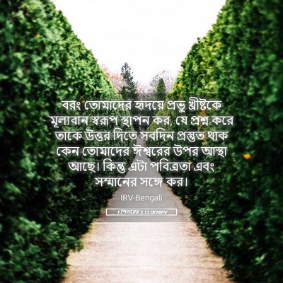 Picture 05 - 1 পিতরের 3:15 BENIRV - বরং তোমাদের - Bible Verse Picture