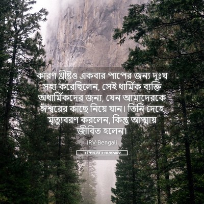 Picture 05 - 1 পিতরের 3:18 BENIRV - কারণ খ্রীষ্টও - Bible Verse Picture