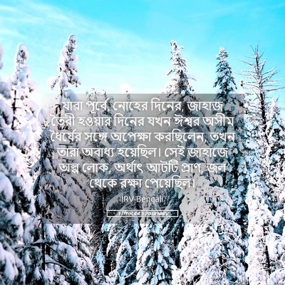 Picture 05 - 1 পিতরের 3:20 BENIRV - যারা পূর্বে, নোহের - Bible Verse Picture