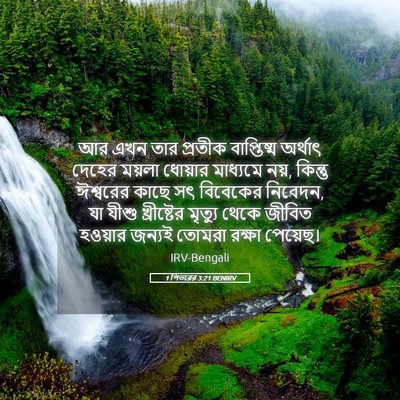 Picture 05 - 1 পিতরের 3:21 BENIRV - আর এখন তার প্রতীক - Bible Verse Picture