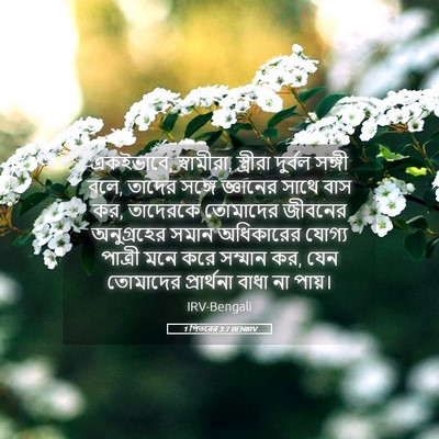 Picture 05 - 1 পিতরের 3:7 BENIRV - একইভাবে, স্বামীরা, - Bible Verse Picture