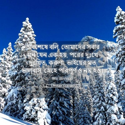 Picture 05 - 1 পিতরের 3:8 BENIRV - অবশেষে বলি, - Bible Verse Picture