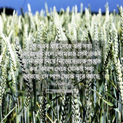 Picture 05 - 1 পিতরের 4:1 BENIRV - অতএব খ্রীষ্ট দেহে - Bible Verse Picture