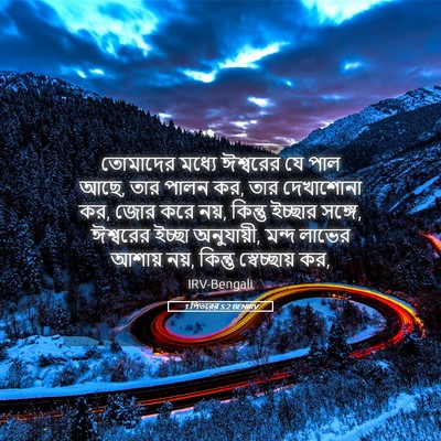 Picture 05 - 1 পিতরের 5:2 BENIRV - তোমাদের মধ্যে - Bible Verse Picture