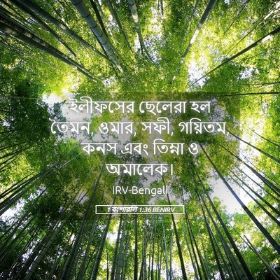 Picture 05 - 1 বংশাৱলি 1:36 BENIRV - ইলীফসের ছেলেরা হল - Bible Verse Picture