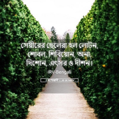 Picture 05 - 1 বংশাৱলি 1:38 BENIRV - সেয়ীরের ছেলেরা - Bible Verse Picture
