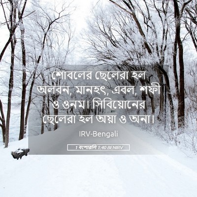 Picture 05 - 1 বংশাৱলি 1:40 BENIRV - শোবলের ছেলেরা হল - Bible Verse Picture