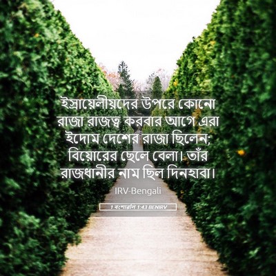 Picture 05 - 1 বংশাৱলি 1:43 BENIRV - ইস্রায়েলীয়দের - Bible Verse Picture