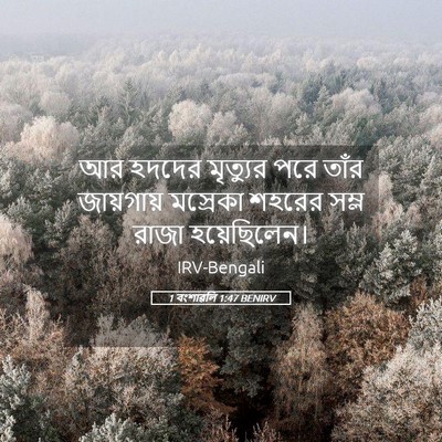Picture 05 - 1 বংশাৱলি 1:47 BENIRV - আর হদদের মৃত্যুর - Bible Verse Picture