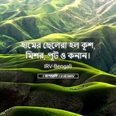 Picture 05 - 1 বংশাৱলি 1:8 BENIRV - হামের ছেলেরা হল - Bible Verse Picture
