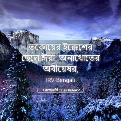 Picture 05 - 1 বংশাৱলি 11:28 BENIRV - তকোয়ের ইক্কেশের - Bible Verse Picture