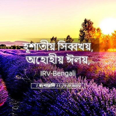 Picture 05 - 1 বংশাৱলি 11:29 BENIRV - হূশাতীয় - Bible Verse Picture
