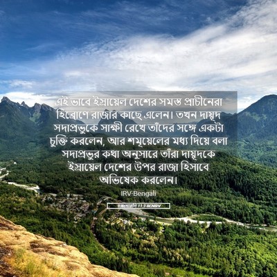 Picture 05 - 1 বংশাৱলি 11:3 BENIRV - এই ভাবে ইস্রায়েল - Bible Verse Picture
