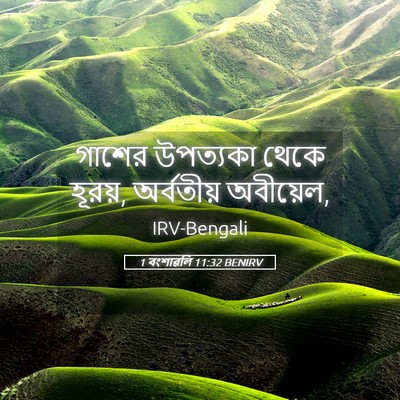 Picture 05 - 1 বংশাৱলি 11:32 BENIRV - গাশের উপত্যকা - Bible Verse Picture