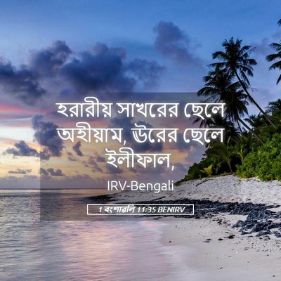 Picture 05 - 1 বংশাৱলি 11:35 BENIRV - হরারীয় সাখরের - Bible Verse Picture