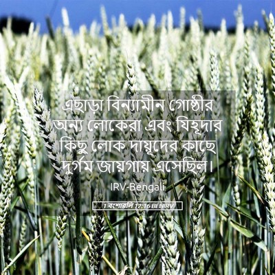 Picture 05 - 1 বংশাৱলি 12:16 BENIRV - এছাড়া বিন্যামীন - Bible Verse Picture