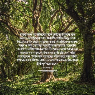 Picture 05 - 1 বংশাৱলি 12:19 BENIRV - দায়ূদ যখন - Bible Verse Picture