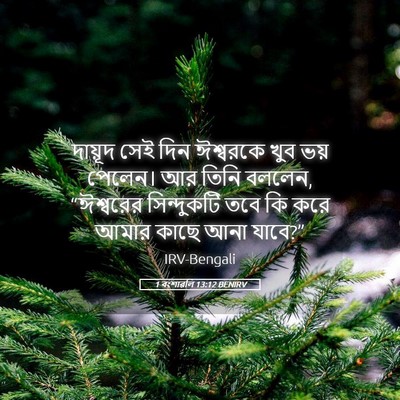 Picture 05 - 1 বংশাৱলি 13:12 BENIRV - দায়ূদ সেই দিন - Bible Verse Picture