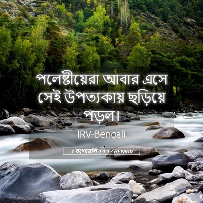 Picture 05 - 1 বংশাৱলি 14:13 BENIRV - পলেষ্টীয়েরা আবার - Bible Verse Picture