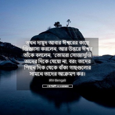 Picture 05 - 1 বংশাৱলি 14:14 BENIRV - তখন দায়ূদ আবার - Bible Verse Picture