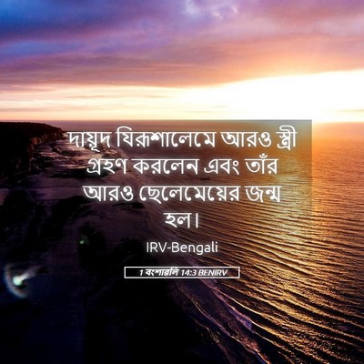Picture 05 - 1 বংশাৱলি 14:3 BENIRV - দায়ূদ যিরূশালেমে - Bible Verse Picture