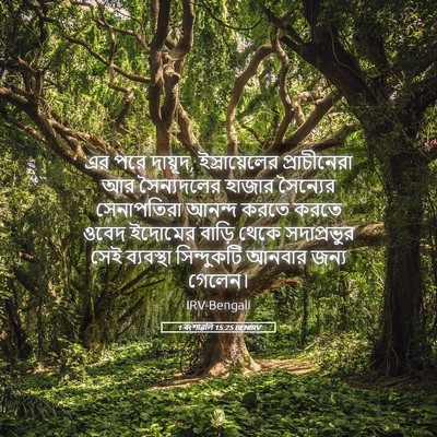 Picture 05 - 1 বংশাৱলি 15:25 BENIRV - এর পরে দায়ূদ, - Bible Verse Picture