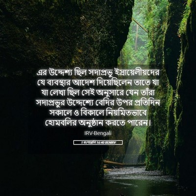 Picture 05 - 1 বংশাৱলি 16:40 BENIRV - এর উদ্দেশ্য ছিল - Bible Verse Picture
