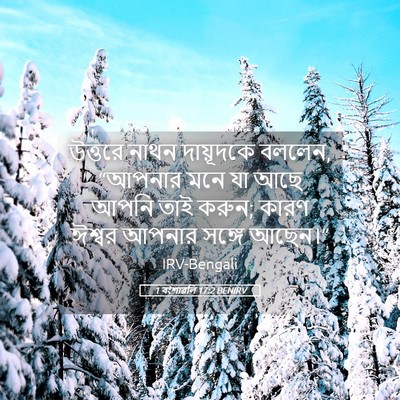 Picture 05 - 1 বংশাৱলি 17:2 BENIRV - উত্তরে নাথন - Bible Verse Picture