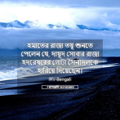 Picture 05 - 1 বংশাৱলি 18:9 BENIRV - হমাতের রাজা তয়ূ - Bible Verse Picture