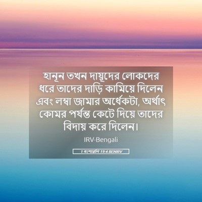 Picture 05 - 1 বংশাৱলি 19:4 BENIRV - হানূন তখন - Bible Verse Picture