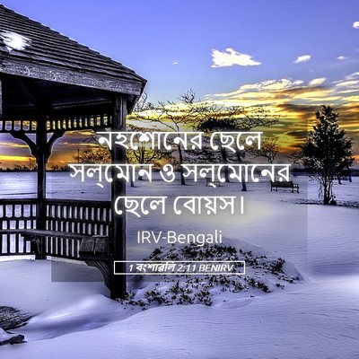Picture 05 - 1 বংশাৱলি 2:11 BENIRV - নহশোনের ছেলে - Bible Verse Picture