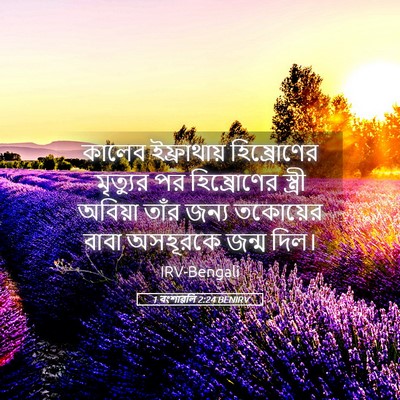 Picture 05 - 1 বংশাৱলি 2:24 BENIRV - কালেব ইফ্রাথায় - Bible Verse Picture